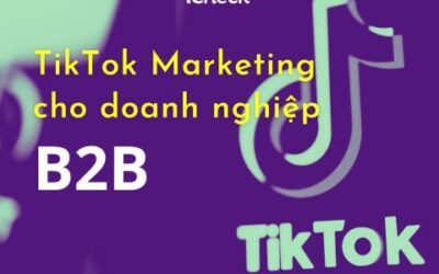 Marketing B2B trên nền tảng tiktok – Hướng đi mới cho doanh nghiệp táo bạo